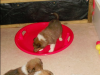 2012-12-03 H-Wurf - 7