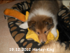 2012-12-19 H-Wurf Harley-King - 1