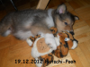 2012-12-19 H-Wurf Hatschi-Pooh - 7