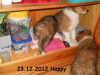 2012-12-23 H-Wurf Happy - 4