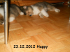 2012-12-23 H-Wurf Happy - 4_1