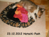 2012-12-23 H-Wurf Hatschi-Pooh - 7_1