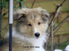 2013-02-12 Holly - 5