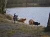 2012-01-08 Hunderunde - 55