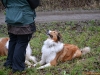 2012-01-08 Hunderunde - 8