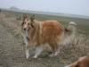 2012-02-13 Aika 