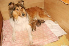 2013-01-01 Milana u Anouk, P-Wurf