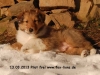 2013-03-13-pilot-2_4