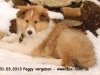 2013-03-31-peggy-3