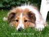 2013-06-26 Polly - 5_1