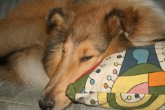 2013-01-03 Müde bin ich