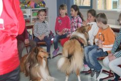 2013-03-07 Helfer auf vier Pfoten