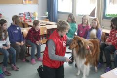 2013-03-12 Helfer auf vier Pfoten