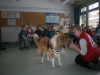 2013-03-14 Grundschule im Kleegarten - 38