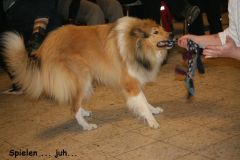 2013-03-17 Obi Seminar - Giny