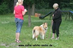 2013-06-22 Prüfung HFS Giny