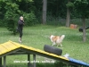2012-06-22 HFS Giny - 12