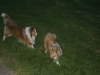 2013-07-16-spirit-17