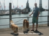 2013-07-19-bodensee-31