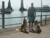 2013-07-19-bodensee-33