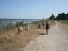 2013-07-23-ostsee-11