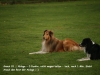 2013-10-19 PHV Hannover - 3