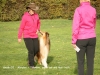 2013-10-19 PHV Hannover - 4