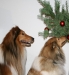 2013-12-23 Weihnachten - 10