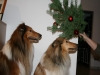 2013-12-23 Weihnachten - 11