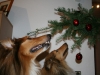 2013-12-23 Weihnachten - 13