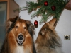 2013-12-23 Weihnachten - 14