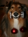 2013-12-23 Weihnachten - 15