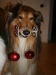 2013-12-23 Weihnachten - 16