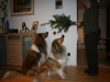 2013-12-23 Weihnachten - 3