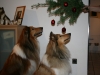 2013-12-23 Weihnachten - 5