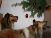 2013-12-23 Weihnachten - 6