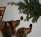 2013-12-23 Weihnachten - 7