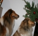 2013-12-23 Weihnachten - 9