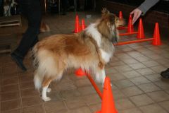 2014-01-26 Seminar Di Martin