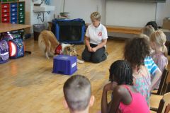 2014-06-04 Helfer auf vier Pfoten