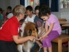 2014-06-11 Helfer auf vier Pfoten (6)