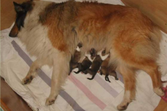 2014-06-26 Milana u Anouk, Q-Wurf