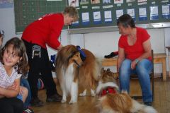 2014-06-27 Helfer auf vier Pfoten