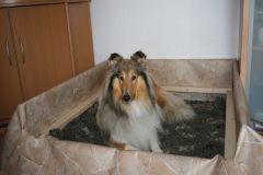 2014-07-14 Wurfkiste