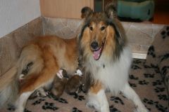 2014-07-24 B-Wurf Geburt