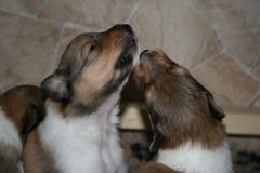 2014-08-09 B-Wurf, 17. Tag