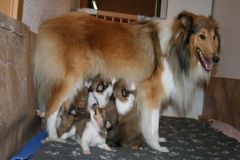 2014-08-13 B-Wurf, 21.Tag