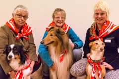 2016-02-17 Einführung Malteser