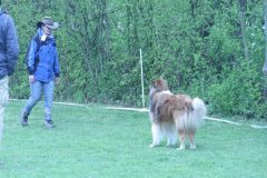 2016-04-23 Peiner Eulen, Anouk