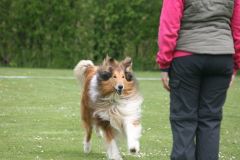 2016-04-30 - PHV Gehrden, Anouk